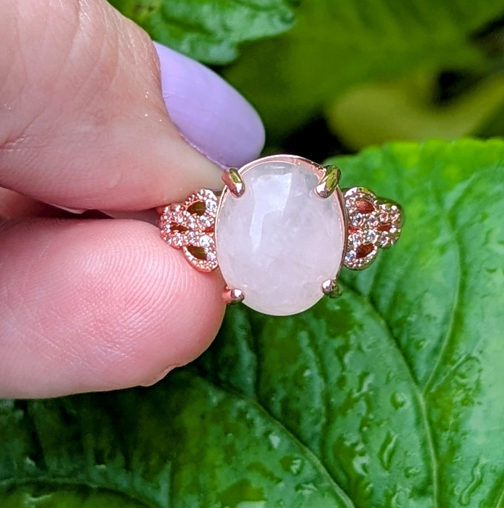 Park Lane Rose Gold Ring with Elegant Design